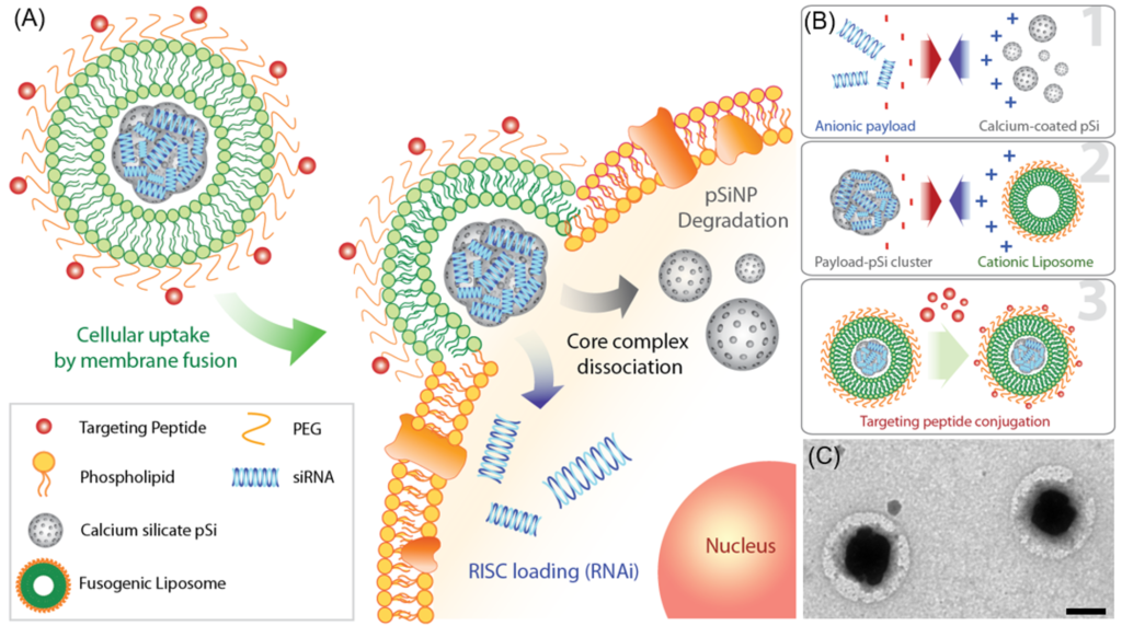 The Year Nanomaterials Saved the World from COVID-19 - Nanoparticle ...